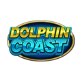 dolphin coast photo