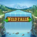wild falls photo