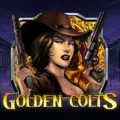 golden Colts photo