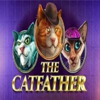 best uitbetalende slots - The Catfather
